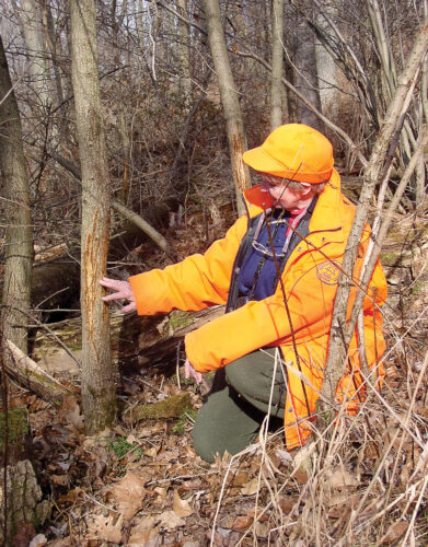 Spotting is just the start: Plenty of prep is needed before successful hunts